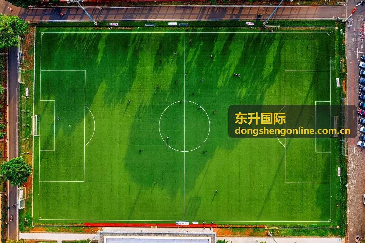 东升国际中欧商务对接项目现场